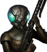 4-LOM